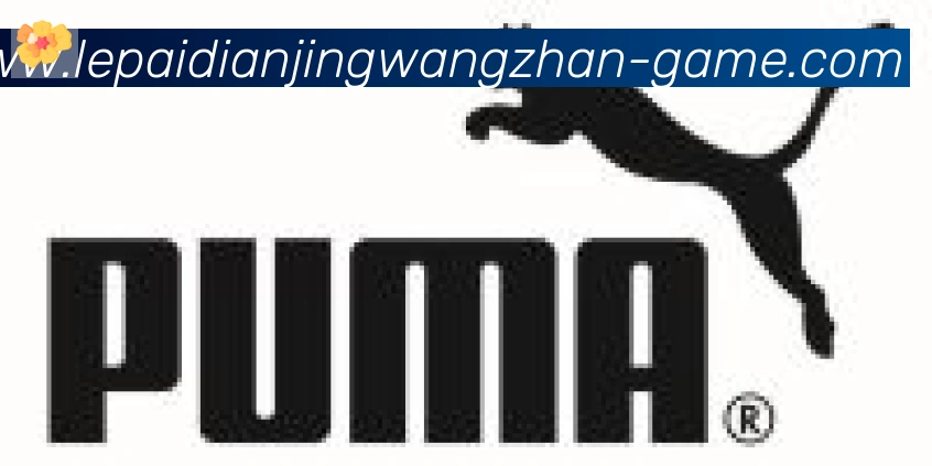 乐派电竞官方网站合作伙伴